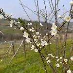 Le Cornici - Cascina Di Charme Diano dʼAlba