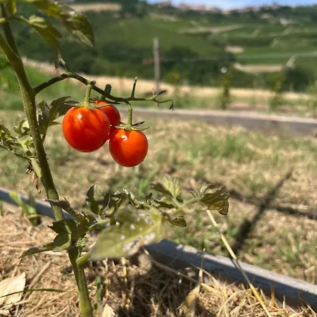 Le Cornici - Cascina Di Charme Resort *